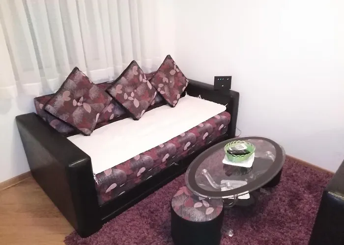 Feel Like 公寓 Vrnjačka Banja